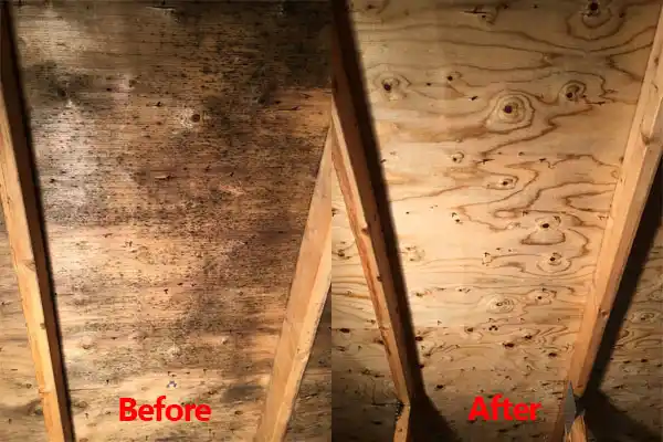 water damage restoration service Pine Level